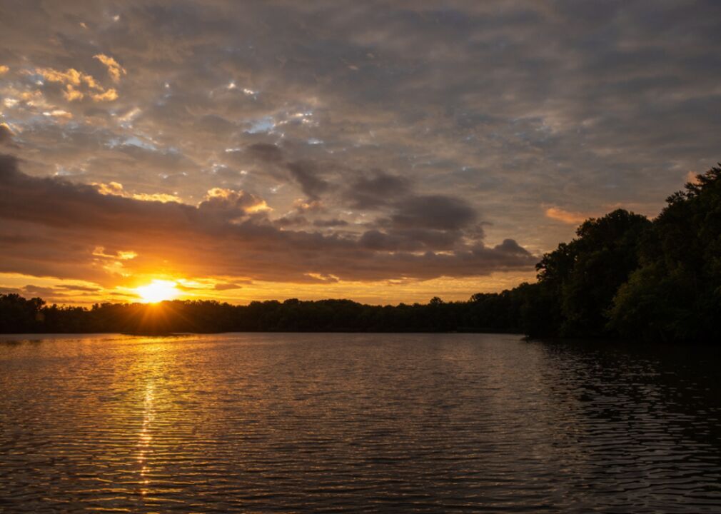 Delaware: Lums Pond State Park